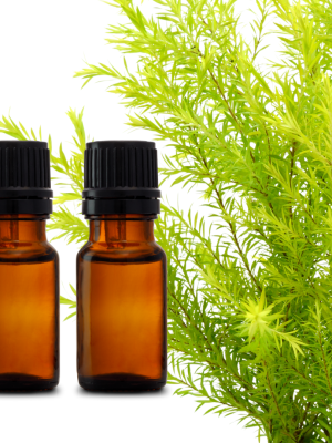 Label Ready 10ml - Tea Tree Essential Oil