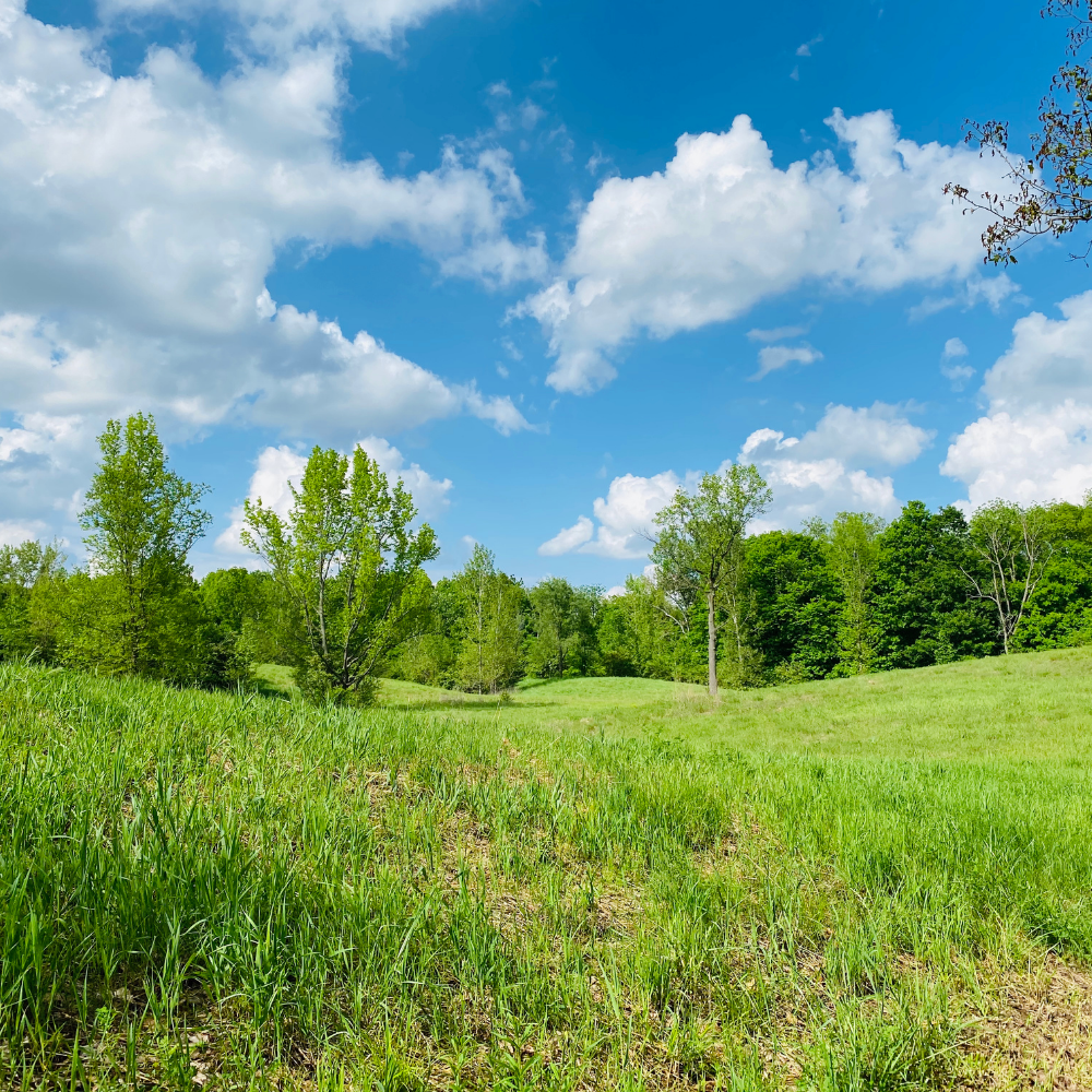 Beautiful Day Type Roll-On Perfume - Image 2