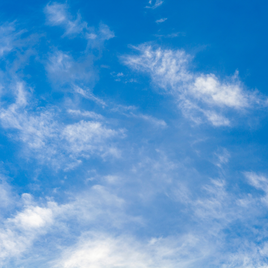 Breathe Easy Roll-On Essential Oil Set - Image 2