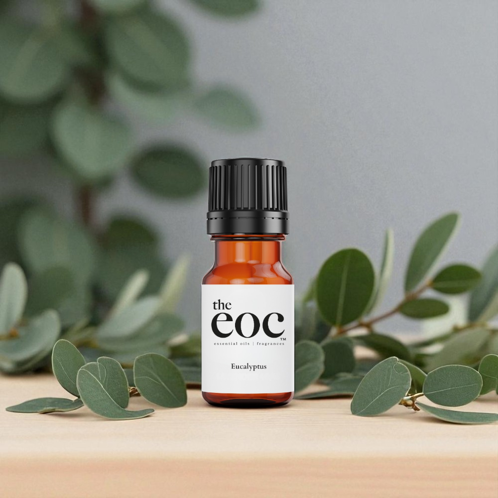 Eucalyptus Essential Oil - Image 3