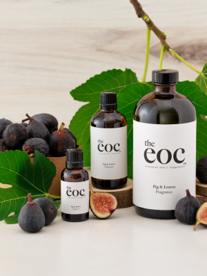 Fig & Leaves Fragrance Oil